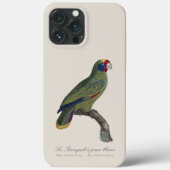 Coques Case-Mate iPhone Perroquet à queue rouge, Amazona Brasiliensis (Verso)