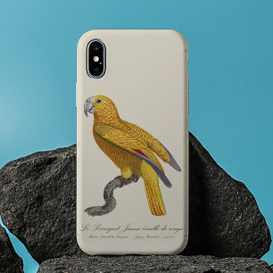 Case-Mate iPhone Case Perroquet de Paradis de Cuba, Psittacus Paradisi