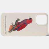 Coques Case-Mate iPhone Perroquet éclectus de Vosmaer, Eclectus Roratus Vo (Verso (horizontal))