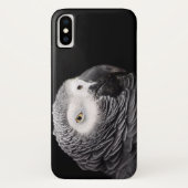 Coques Case-Mate iPhone Perroquet Gris Africain (Dos)