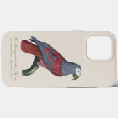 Coques Case-Mate iPhone Perroquet Gris du Congo Facteur Rouge Psittacus Er (Verso (horizontal))