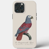 Coques Case-Mate iPhone Perroquet Gris du Congo Facteur Rouge Psittacus Er (Verso)