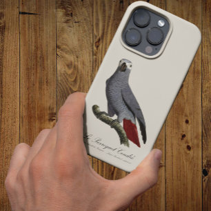 Case-Mate iPhone Case Perroquet gris, Psittacus erithacus, vintage