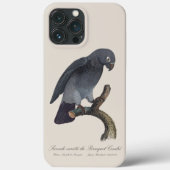 Coques Case-Mate iPhone Perroquet Gris Timneh, Psittacus Timneh (Verso)