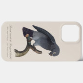 Coques Case-Mate iPhone Perroquet Gris Timneh, Psittacus Timneh (Verso (horizontal))