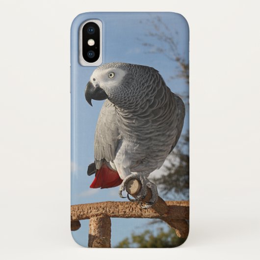 Coques Case-Mate iPhone Perroquet renversant de gris africain (Dos)