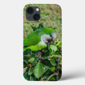 Coques Case-Mate iPhone Perroquet vert (Verso)