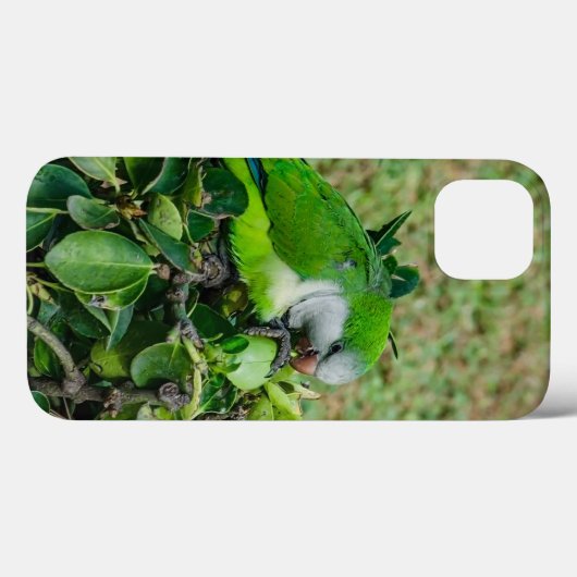 Coques Case-Mate iPhone Perroquet vert (Verso (horizontal))