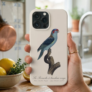 Case-Mate iPhone Case Perruche a bandeau rouge / Musk Lorikeet