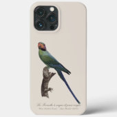 Coques Case-Mate iPhone Perruche à longue queue, Psittacula Longicauda (Verso)