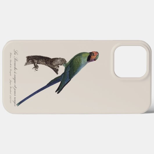 Coques Case-Mate iPhone Perruche à longue queue, Psittacula Longicauda (Verso (horizontal))