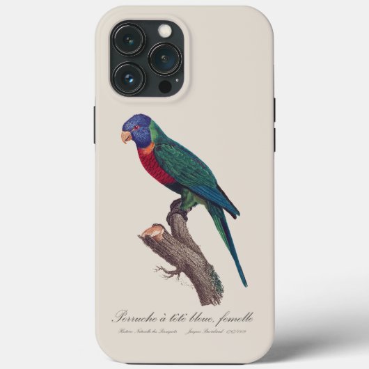 Coques Case-Mate iPhone Perruche a tete bleue, femelle / Rainbow lorikeet, (Verso)