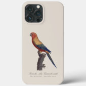 Coques Case-Mate iPhone Perruche Ara, Guarouba  / Perruche soleil  (Verso)