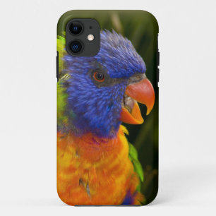 Coque Case-Mate Pour iPhone Perruche colorée