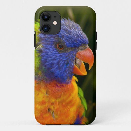 Coques Case-Mate iPhone Perruche colorée (Dos)