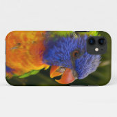 Coques Case-Mate iPhone Perruche colorée (Dos (Horizontal))