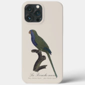 Coques Case-Mate iPhone Perruche Moine, Myiopsitta Monachus (Verso)
