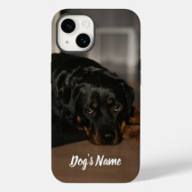 Personnalisé votre chien Rottweiler Photo & Nom