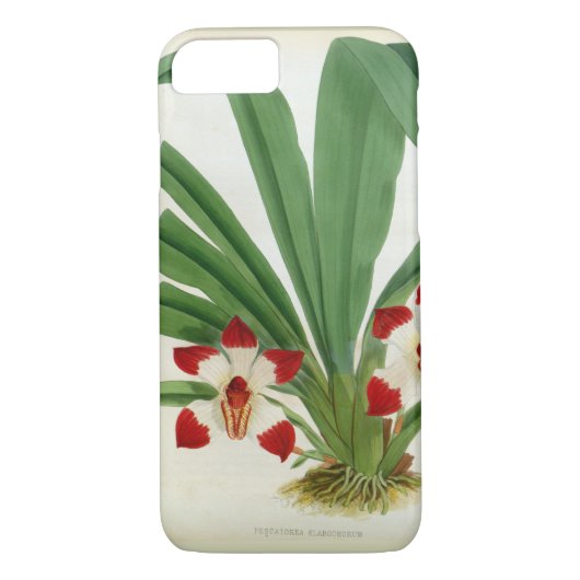 Coques Case-Mate iPhone Pescatorea Klabochurum Orchid Collection Lindenia (Dos)