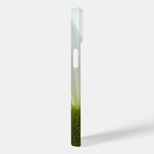 Coques Case-Mate iPhone Pétales de marguerite blanche (Verso / Droite)