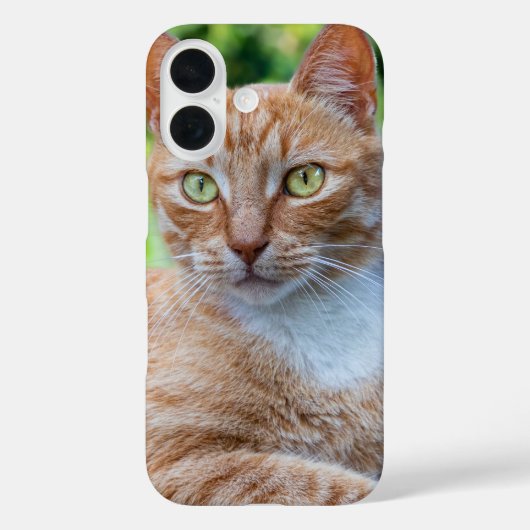 Coques Case-Mate iPhone Petit chou doux (Verso)