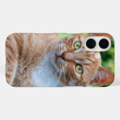 Coques Case-Mate iPhone Petit chou doux (Verso (horizontal))