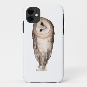 Coque iPhone 11 Petit-duc