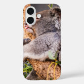 Coques Case-Mate iPhone Petit koala doux (Verso)