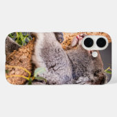 Coques Case-Mate iPhone Petit koala doux (Verso (horizontal))
