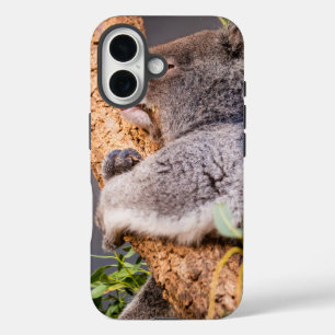 Coques iPhone 16 Petit koala doux