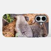 Coques Case-Mate iPhone Petit koala doux (Verso (horizontal))