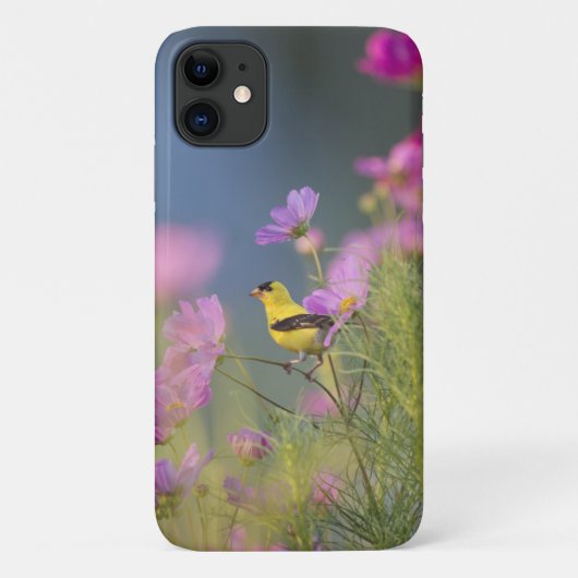 Coques Case-Mate iPhone Petit oiseau jaune dans les fleurs (Dos)
