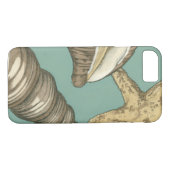 Coques Case-Mate iPhone Petit trio Shell Turquoise (Dos (Horizontal))
