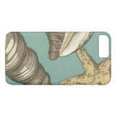 Coques Case-Mate iPhone Petit trio Shell Turquoise (Dos (Horizontal))