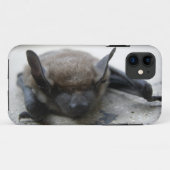 Coques Case-Mate iPhone Petite chauve-souris brune (Myotis lucifugus) (Dos (Horizontal))