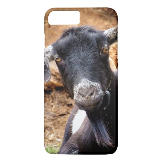 COQUES Case-Mate iPhone PETITE CHÈQUE CUITE (Dos)