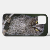 Coques Case-Mate iPhone Petite Nyctale, Megascops asio, Otus 2 (Verso (horizontal))