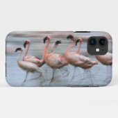 Coques Case-Mate iPhone Petits Flamants en mouvement, Phoenicopterus (Dos (Horizontal))