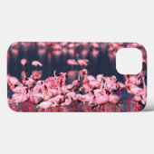 Coques Case-Mate iPhone Petits Flamants (Phoeniconaias minor), Afrique, (Verso (horizontal))