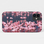 Coques Case-Mate iPhone Petits Flamants roses (Phoeniconaias mineur), Afri (Dos (Horizontal))