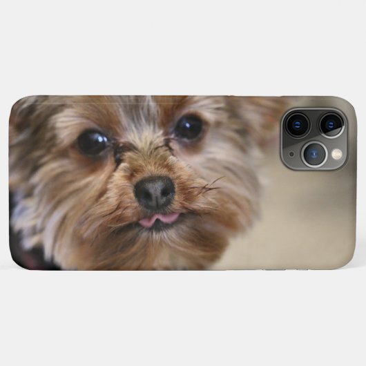 Coques Case-Mate iPhone Pfft (Dos (Horizontal))
