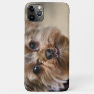 Case-Mate iPhone Case Pfft