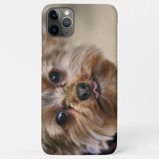 Coques Case-Mate iPhone Pfft (Dos)