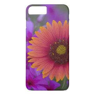 Etui iPhone Case-Mate Phlox et couverture indienne près de Devine Texas