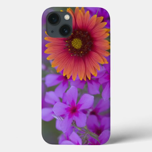 Coques Case-Mate iPhone Phlox et Indian Blanket près de Devine Texas (Verso)