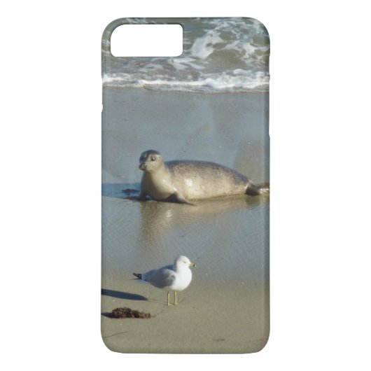 Coques Case-Mate iPhone Phoque du port à La Jolla en Californie (Dos)