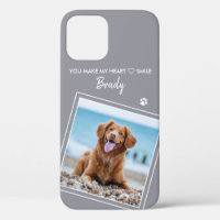 Photo Animaux de compagnie Citation moderne Gris C