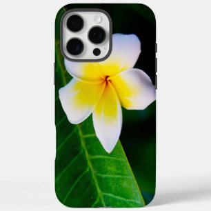 Coques iPhone 16 Pro Max Photo botanique de frangipanier tropical
