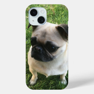 Coque Pour iPhone 15 Photo carlin Pup