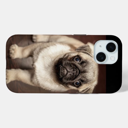Coques Case-Mate iPhone Photo Chiot Carlin mignon (Verso (horizontal))